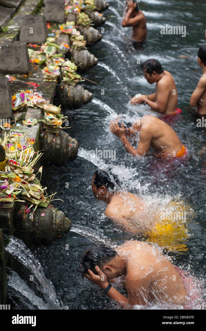 Grupo de hombres en una línea que tienen un baño de purificación ritual en  el Templo de agua de la Santa Primavera (Tor Tirta Empul Temple) petirtaan  (estructura de baño), Bali Fotografía