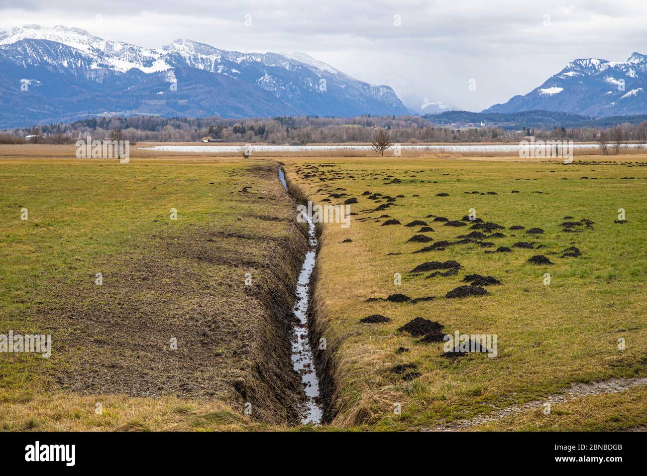 Zanjas en reserva natural para la limpieza de una zanja de drenaje de páramos, Alemania, Baviera, Lago Chiemsee Foto de stock