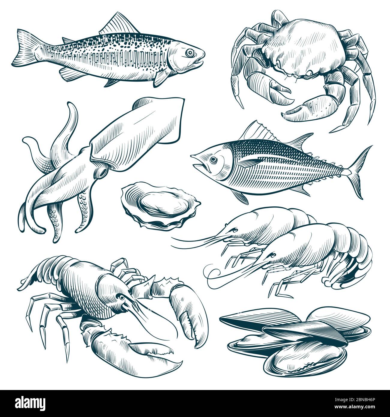 Boceto de mariscos. Langosta mariscos camarones. Comida de mariscos