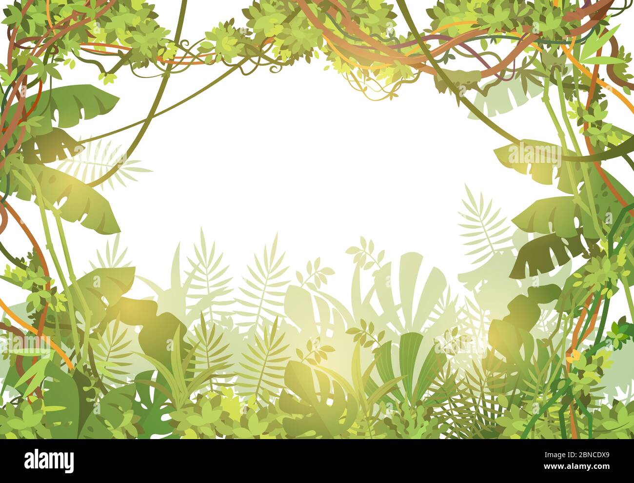 Selva tropical de fondo. Bosque lluvioso con hojas tropicales y lianas