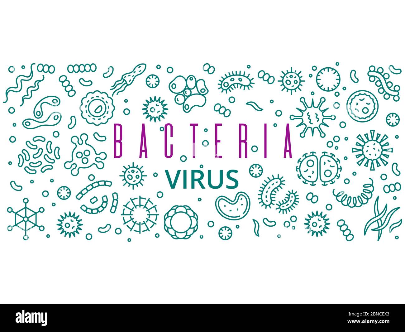 Diseño de carteles de banner vector de virus, bacterias de línea. Ilustración de microorganismos de infección bacteriana y bacteriana Ilustración del Vector