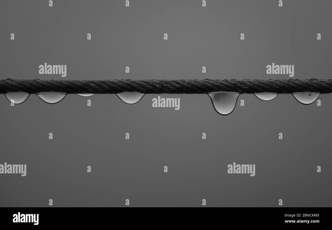 Tiro de cerca de las gotas de agua en la cuerda - perfecto para el fondo Foto de stock