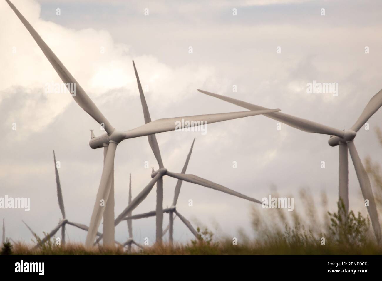 Whitelee Windfarm, Escocia, Reino Unido. 14 de mayo de 2020. Imagen: Propiedad de Scottish Power Renewables, el Parque Eólico Whitelee es el parque eólico más grande del Reino Unido con 215 turbinas que generan hasta un total de producción de aa de 539 megavatios de electricidad, suficiente para alimentar a poco menos de 300,000 hogares. Como los gobiernos británico y escocés están planeando una estrategia de salida para el bloqueo del coronavirus (COVID-19), la demanda de un mayor uso de energía debe equilibrarse con las consideraciones y responsabilidades de los planes de cambio climático. Crédito: Colin Fisher/Alamy Live News Foto de stock
