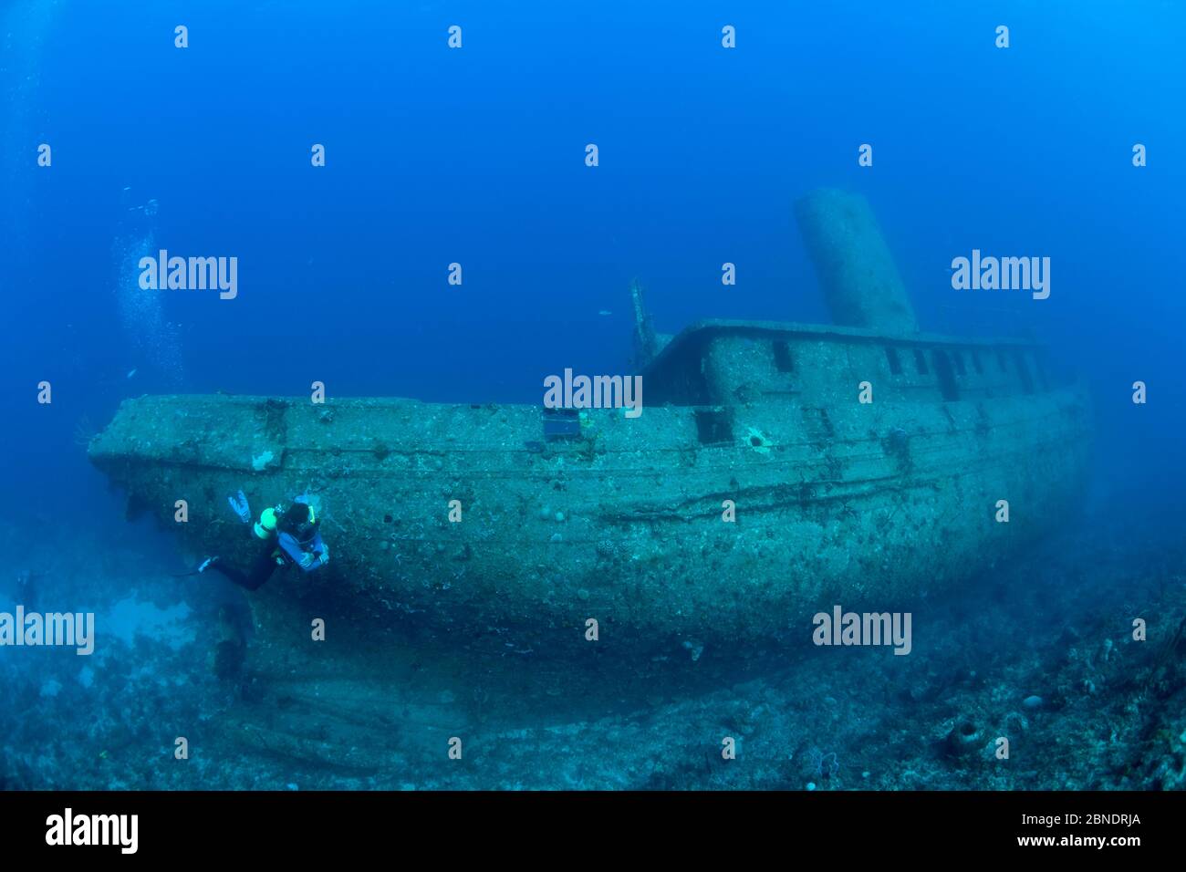 Buceo y naufragio de Virgen de Altagracia, Santa Lucía, Camaguey, Cuba, Mar Caribe, Océano Atlántico Foto de stock