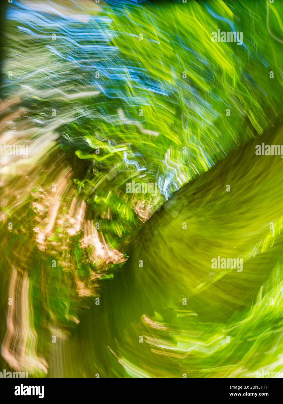 Bosque verde que crea vértigo intencionalmente borroso que representa la máxima velocidad circular rápido movimiento Foto de stock