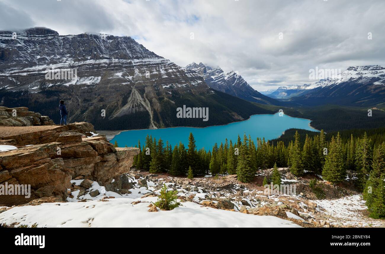 Chica disfrutando de la vista en una caminata en el Lago Peyto, Parque Nacional Banff Foto de stock