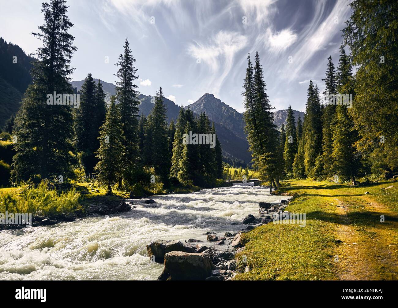 Río Karakol en el valle de montaña y bosque con grandes pinos en el parque nacional de Karakol cerca del lago Issyk Kul, Kirguistán Foto de stock