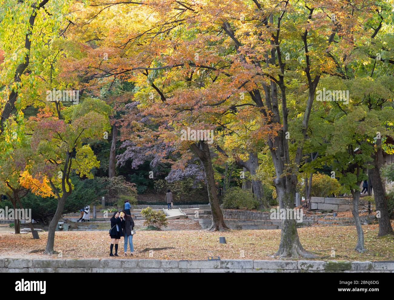 Jardín secreto en el Palacio Changdeokgung, Patrimonio de la Humanidad de la UNESCO, Seúl, Corea del Sur, Asia Foto de stock