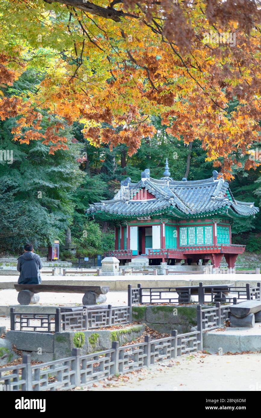 Hombre sentado en el Jardín Secreto en el Palacio Changdeokgung, Patrimonio de la Humanidad de la UNESCO, Seúl, Corea del Sur, Asia Foto de stock