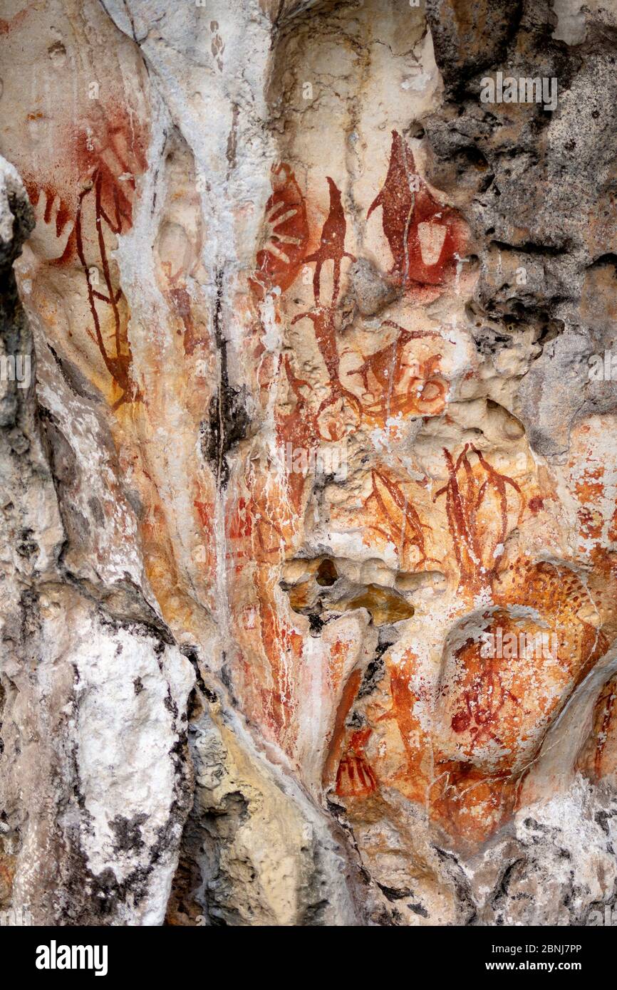 Arte rupestre prehistórico en Micool, Raja Ampat, Papúa Occidental, Islas Spice, Indonesia, Sudeste Asiático, Asia Foto de stock