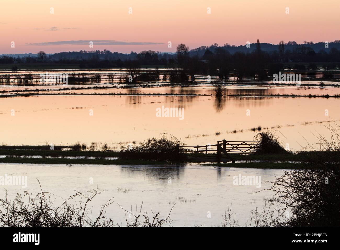 Campos inundados en la madrugada cerca de Burrowbridge en las zonas bajas de niveles de Somerset, Reino Unido, febrero 2016 Foto de stock