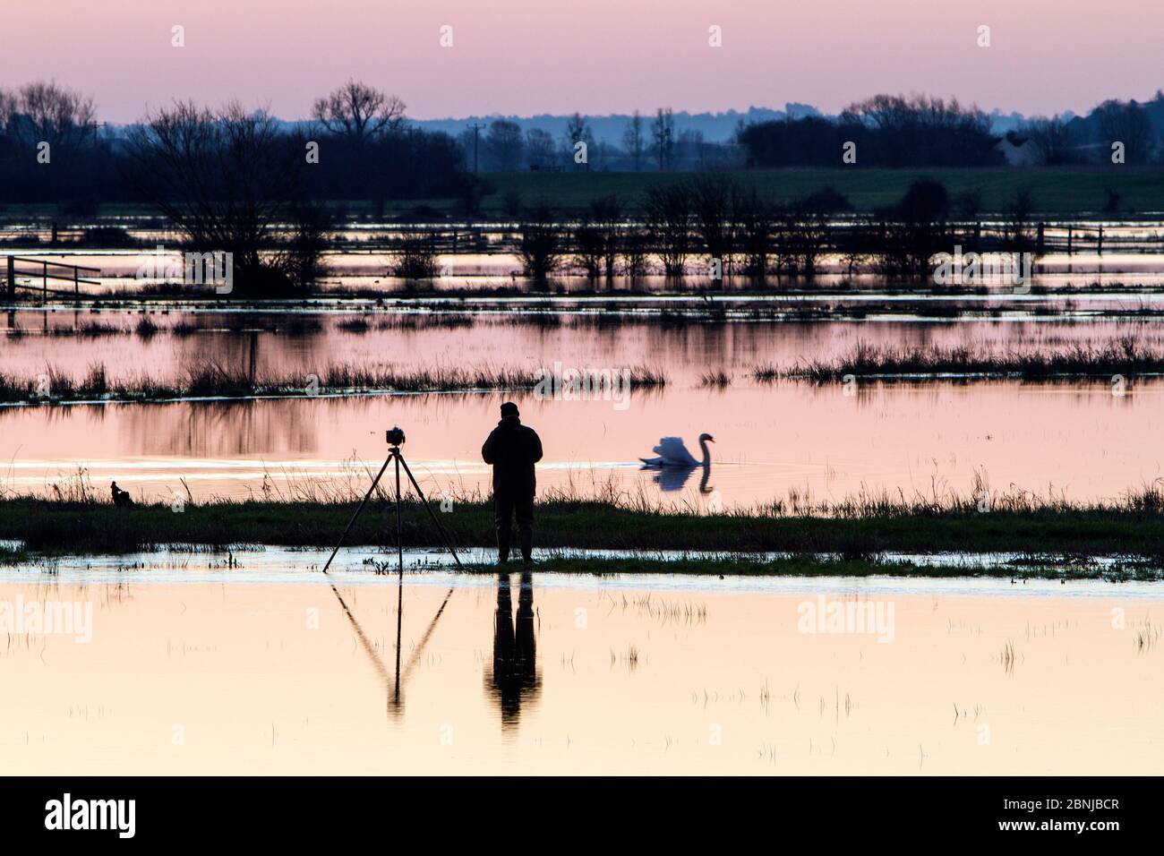 Fotógrafo al amanecer esperando la foto perfecta entre campos inundados cerca de Burrowbridge, niveles de Somerset, Somerset, Reino Unido, febrero. Foto de stock