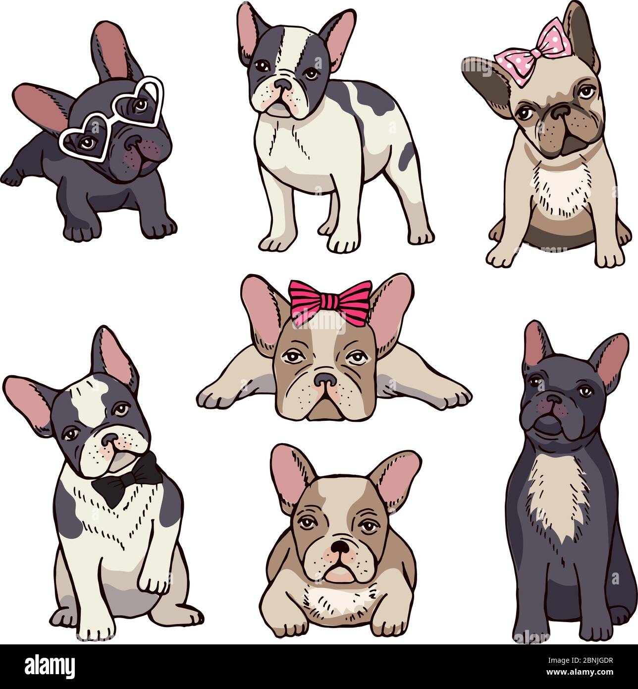 Bulldog frances de dibujos animados Imágenes recortadas de stock Alamy