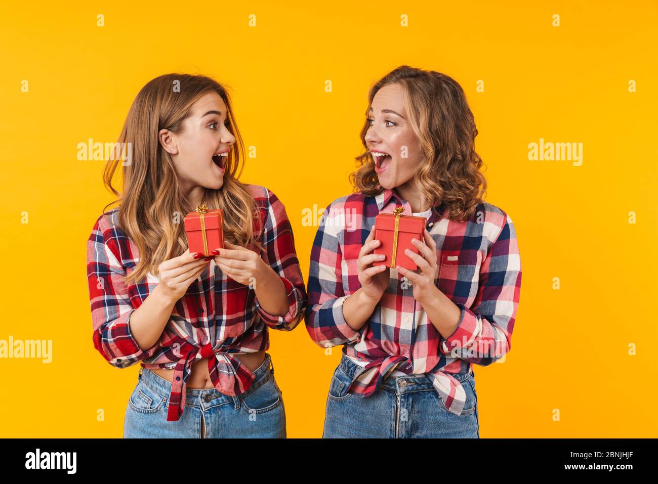 barril damnificados Ceniza Imagen de dos jóvenes hermosas chicas con camisas de cuadros sonriendo y  sosteniendo cajas de regalo aisladas sobre fondo amarillo Fotografía de  stock - Alamy