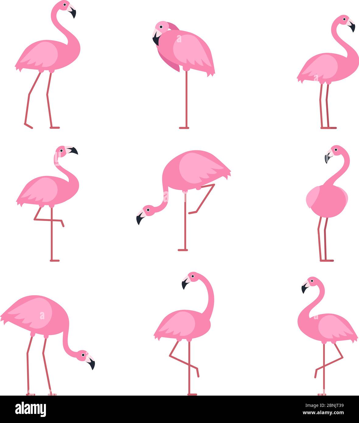 Vector de dibujos animados de flamingo fotografías e imágenes de alta  resolución - Alamy