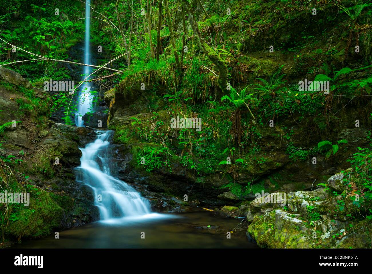 Cascadas de la cascada de la lamina, lamina, Parque Natural Saja Besaya,  Cantabria, España, Europa. Mayo de 2015 Fotografía de stock - Alamy