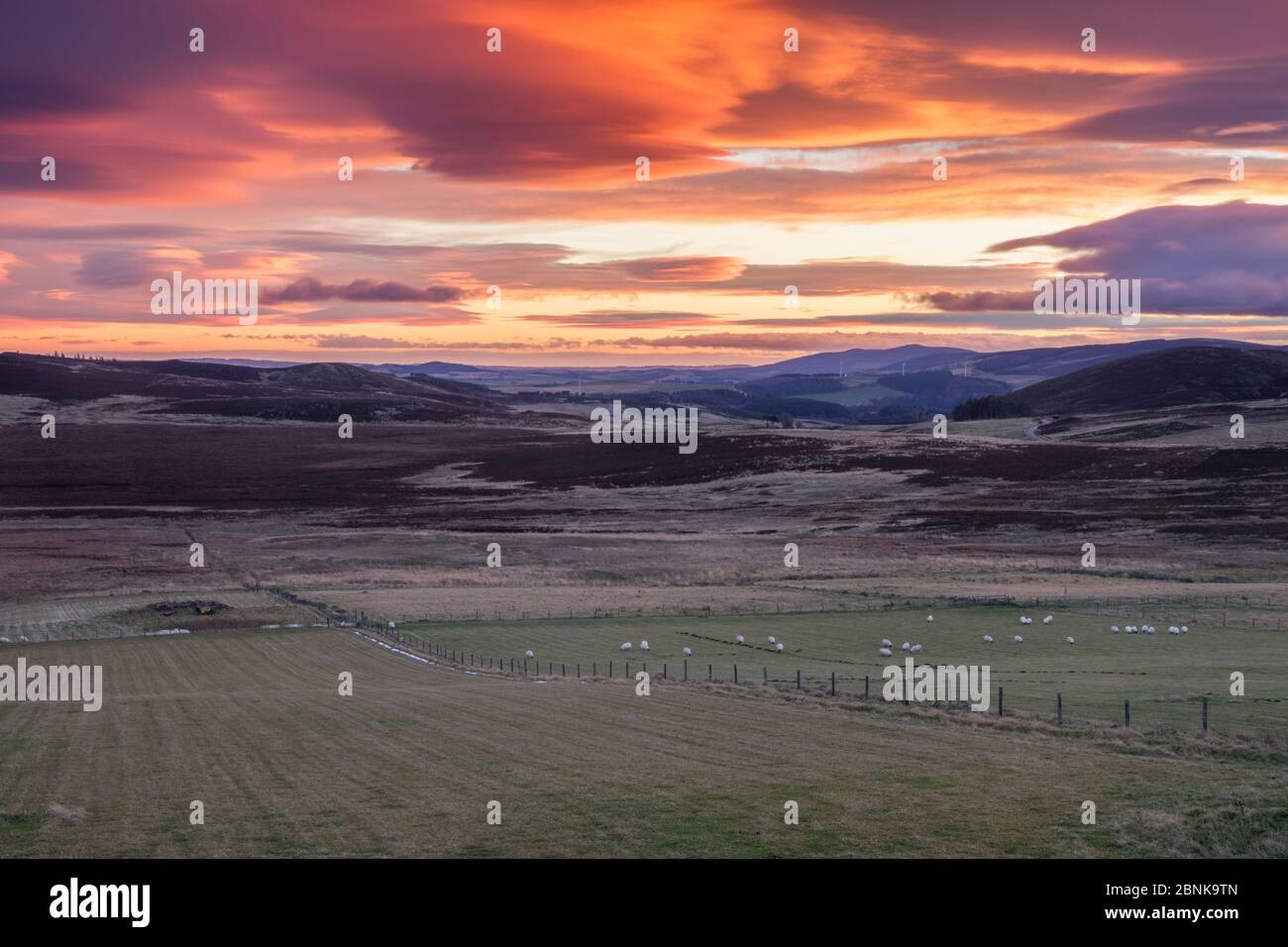 Mosaico de tierras agrícolas, forestales y páramos al amanecer, Aberdeenshire, Escocia, Reino Unido, diciembre de 2015. Foto de stock
