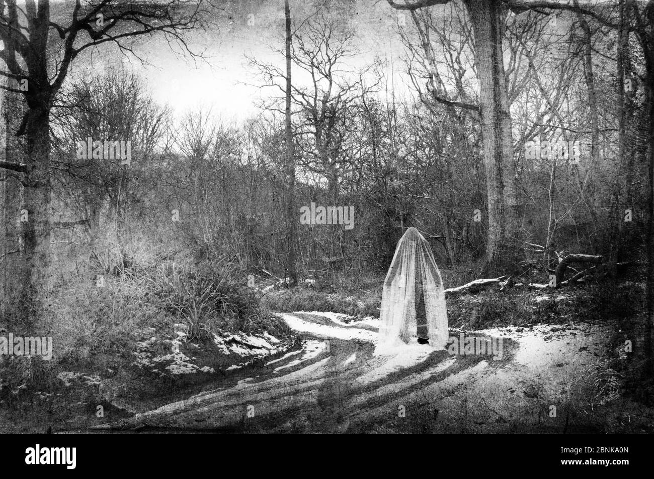 Una figura fantasmal fantasmal, de pie en una pista en un bosque espeluznante. En un día de invierno. Con una edición de gruñido, texturizada. Foto de stock