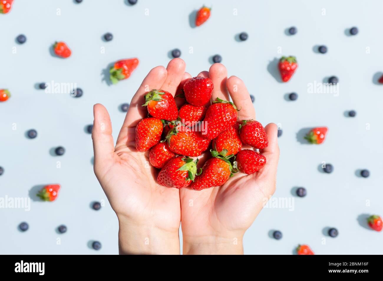 Fresas azules fotografías e imágenes de alta resolución - Alamy