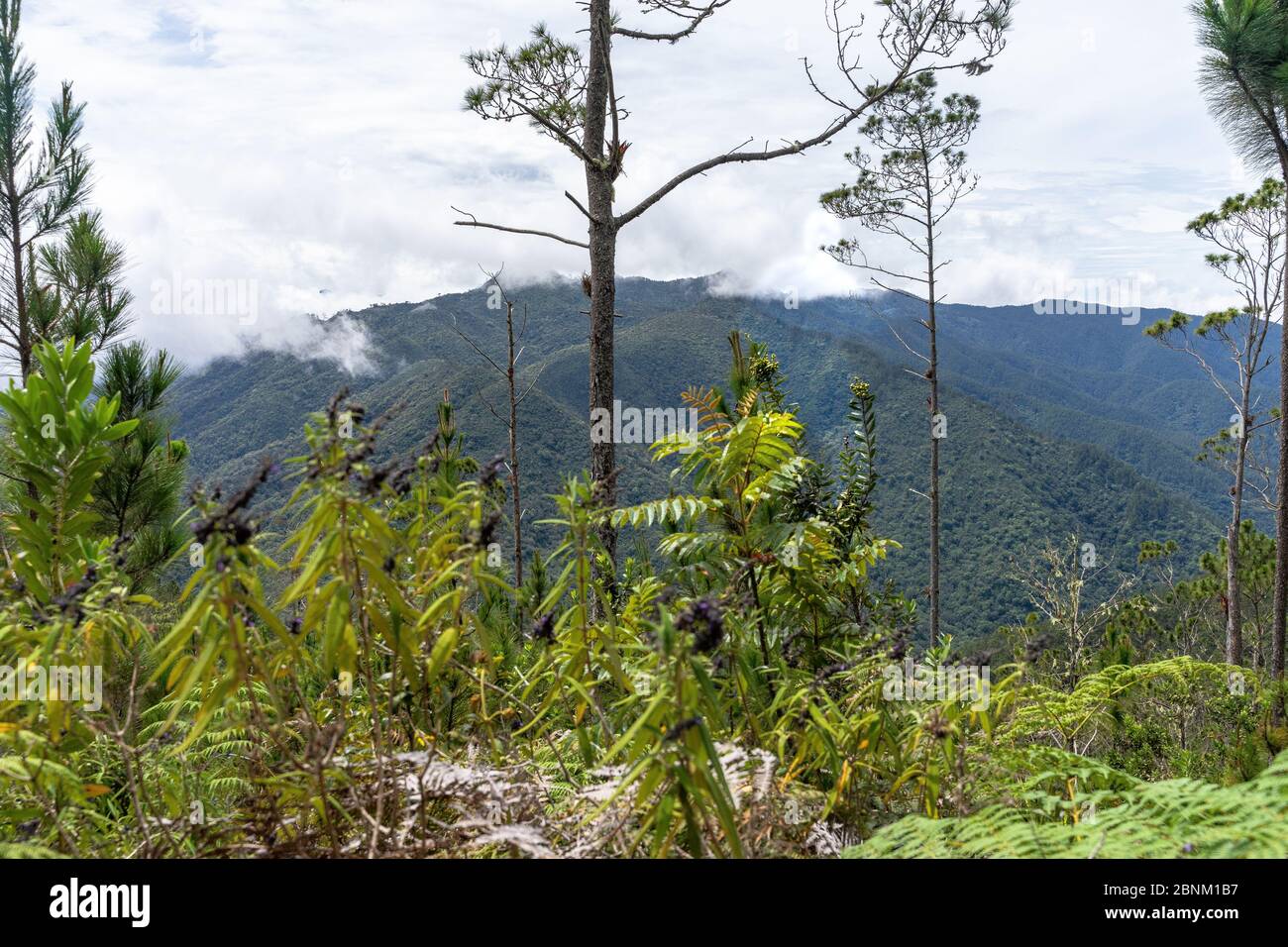 América, Caribe, Antillas mayores, República Dominicana, Jarabacoa