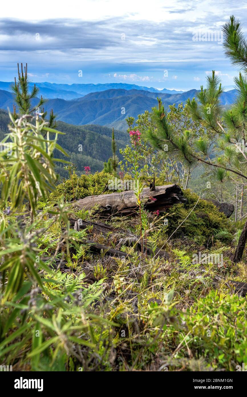 América, Caribe, Antillas mayores, República Dominicana, Jarabacoa