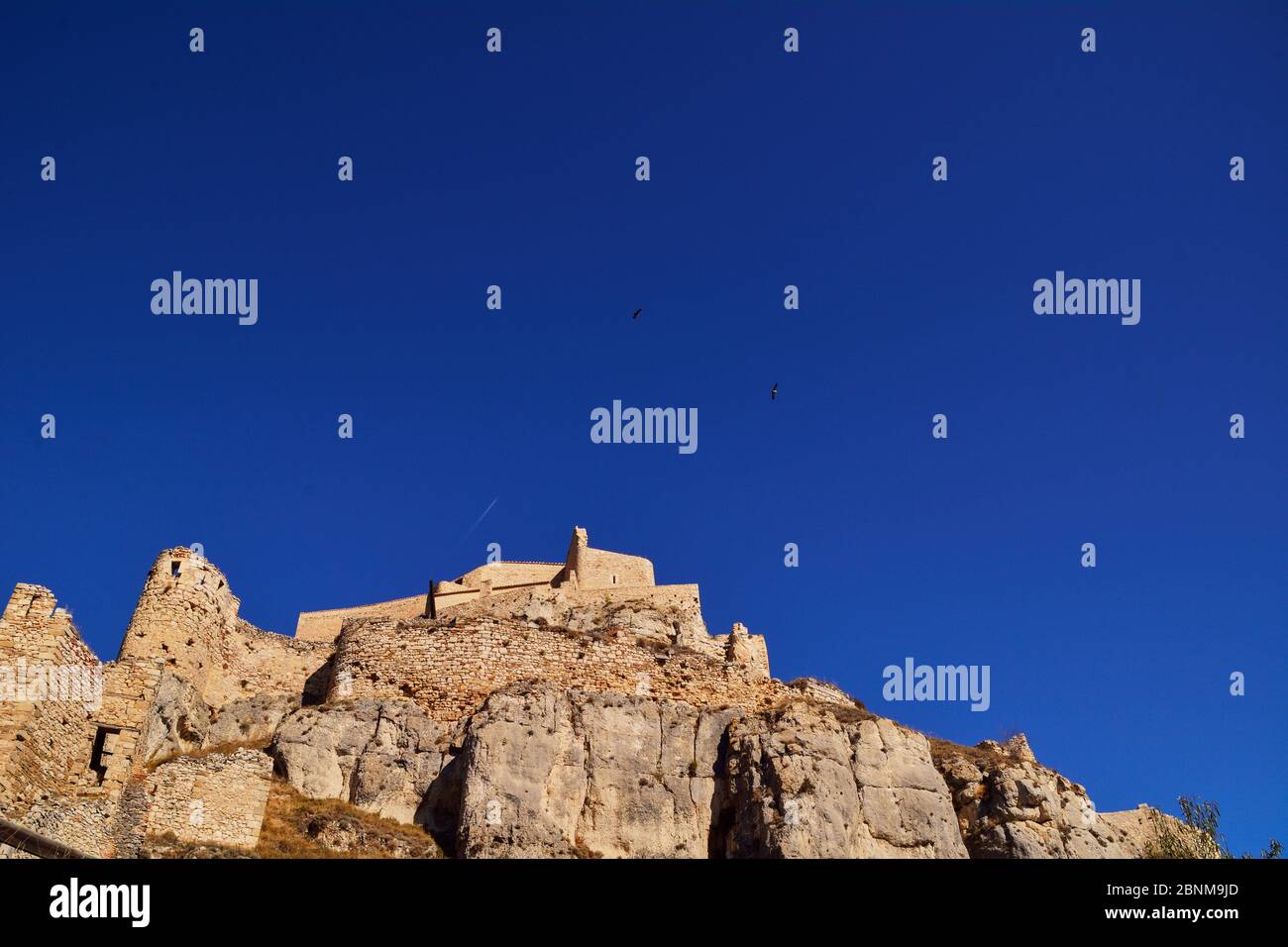 Aves rapaces volando sobre el cielo azul del castillo medieval colores de la naturaleza Foto de stock