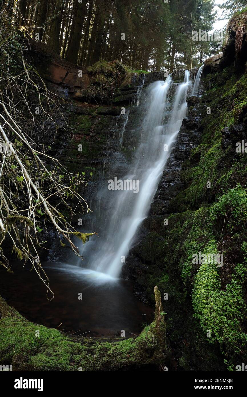 La cascada de Thrid en el Nant Bwrefwr entre el aparcamiento y el Afon Caerfanell. Foto de stock