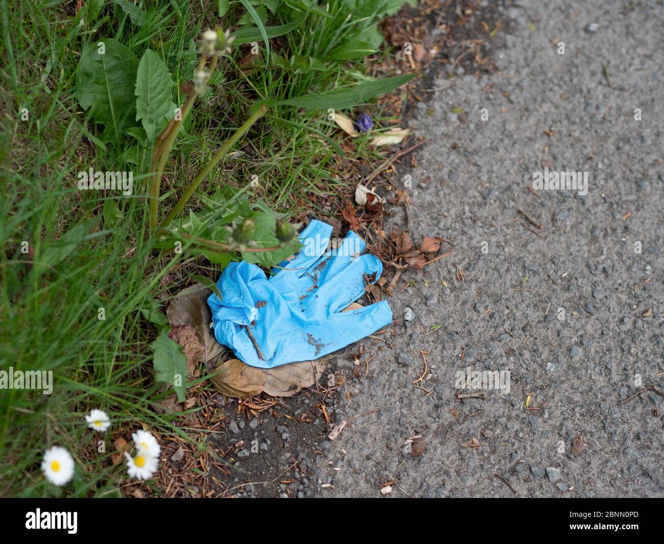 Guante desechable azul PPE abandonado por carretera, COVID19, riesgo coronavirus. Protección de manos, Equipo de prevención personal. Foto de stock