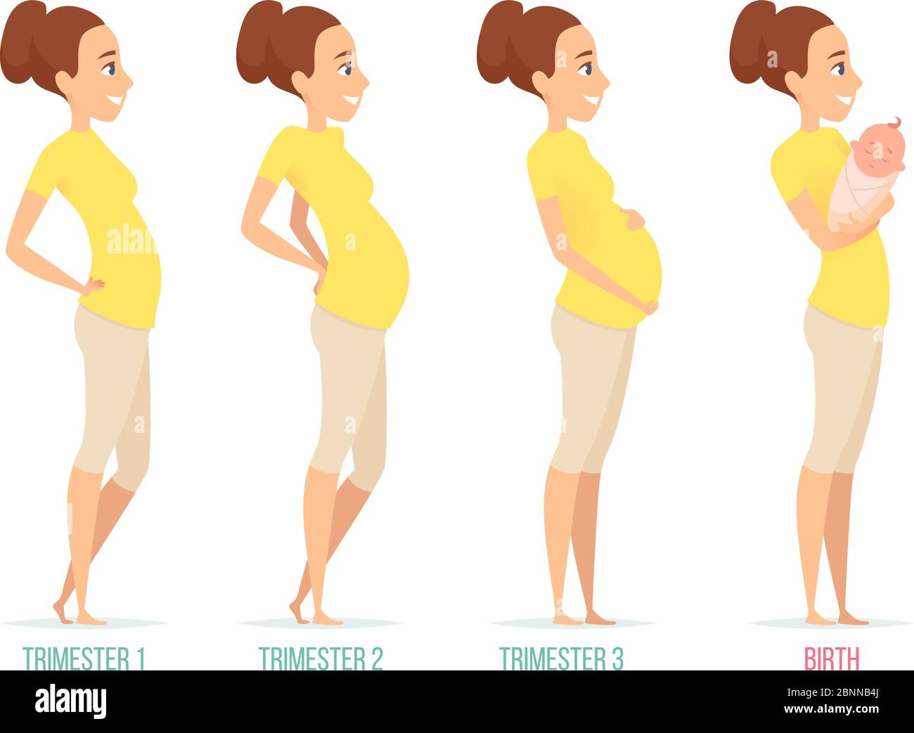 Etapas del embarazo. Mamá feliz con recién nacido embarazo femenino trimestres vector caracteres aislados Ilustración del Vector