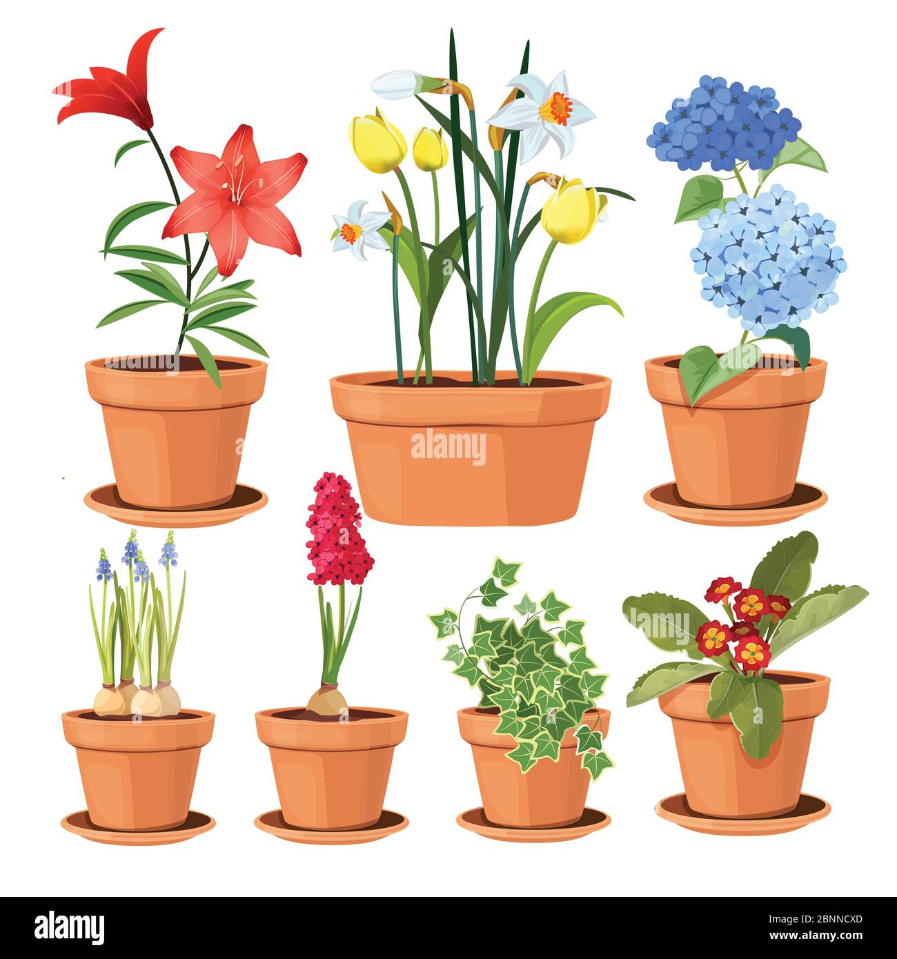 Macetas de flores modernas. Plantas decorativas de colores árbol tulipán vector ilustraciones Imagen de stock - Alamy