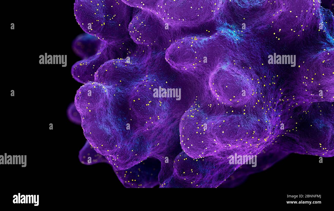 Célula infectada con partículas de virus que causan la muerte programada de una célula, ilustración 3d. Foto de stock