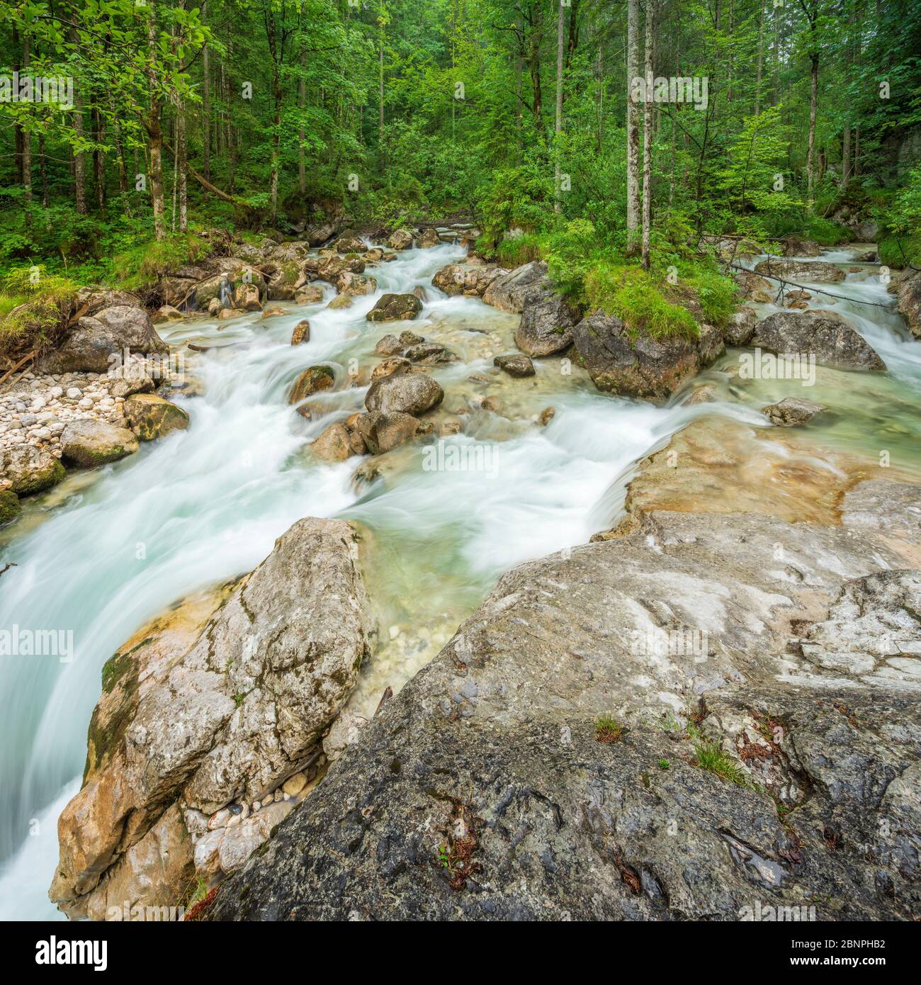 Arroyo de montaña Ramsauer Ache en el bosque encantado, Parque Nacional Berchtesgaden, Ramsau, Tierra Berchtesgadener, Alta Baviera, Baviera, Alemania Foto de stock
