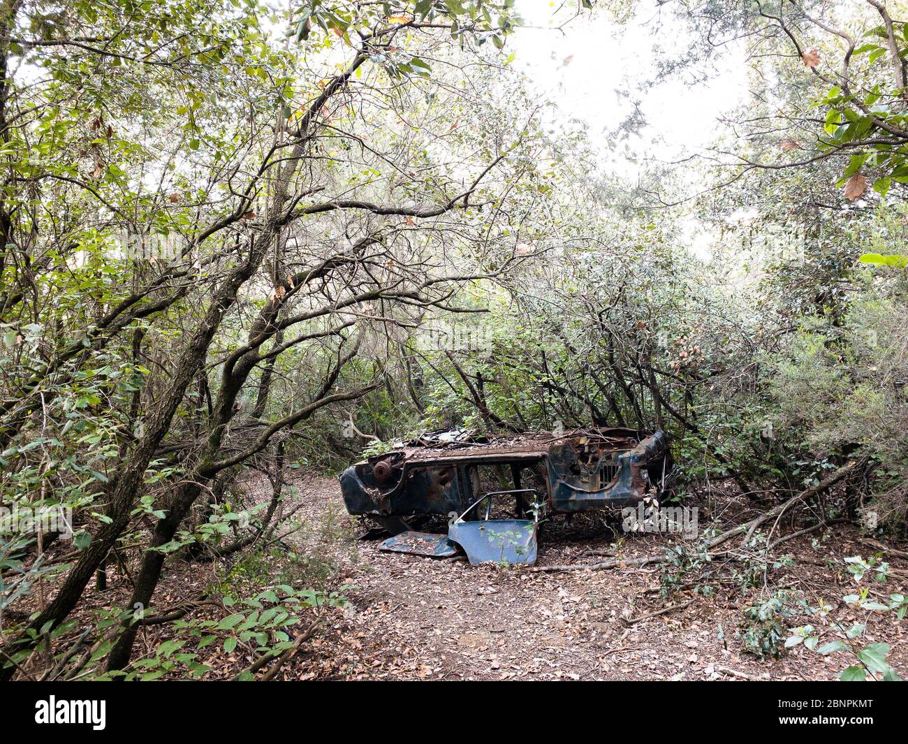 Antiguo coche de los años sesenta del siglo pasado abandonado y destruido en un bosque de España Foto de stock