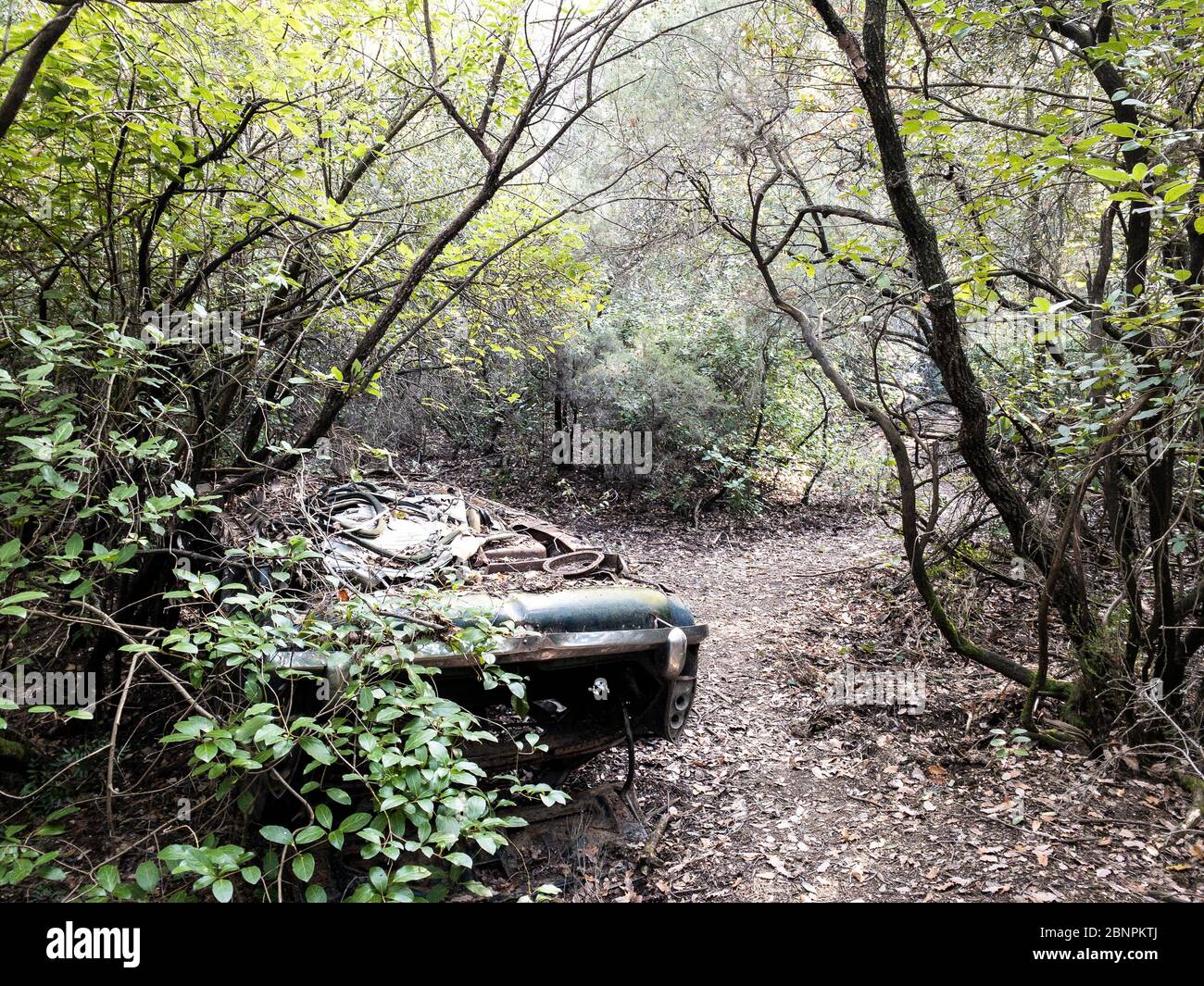 Antiguo coche de los años sesenta del siglo pasado abandonado y destruido en un bosque de España Foto de stock