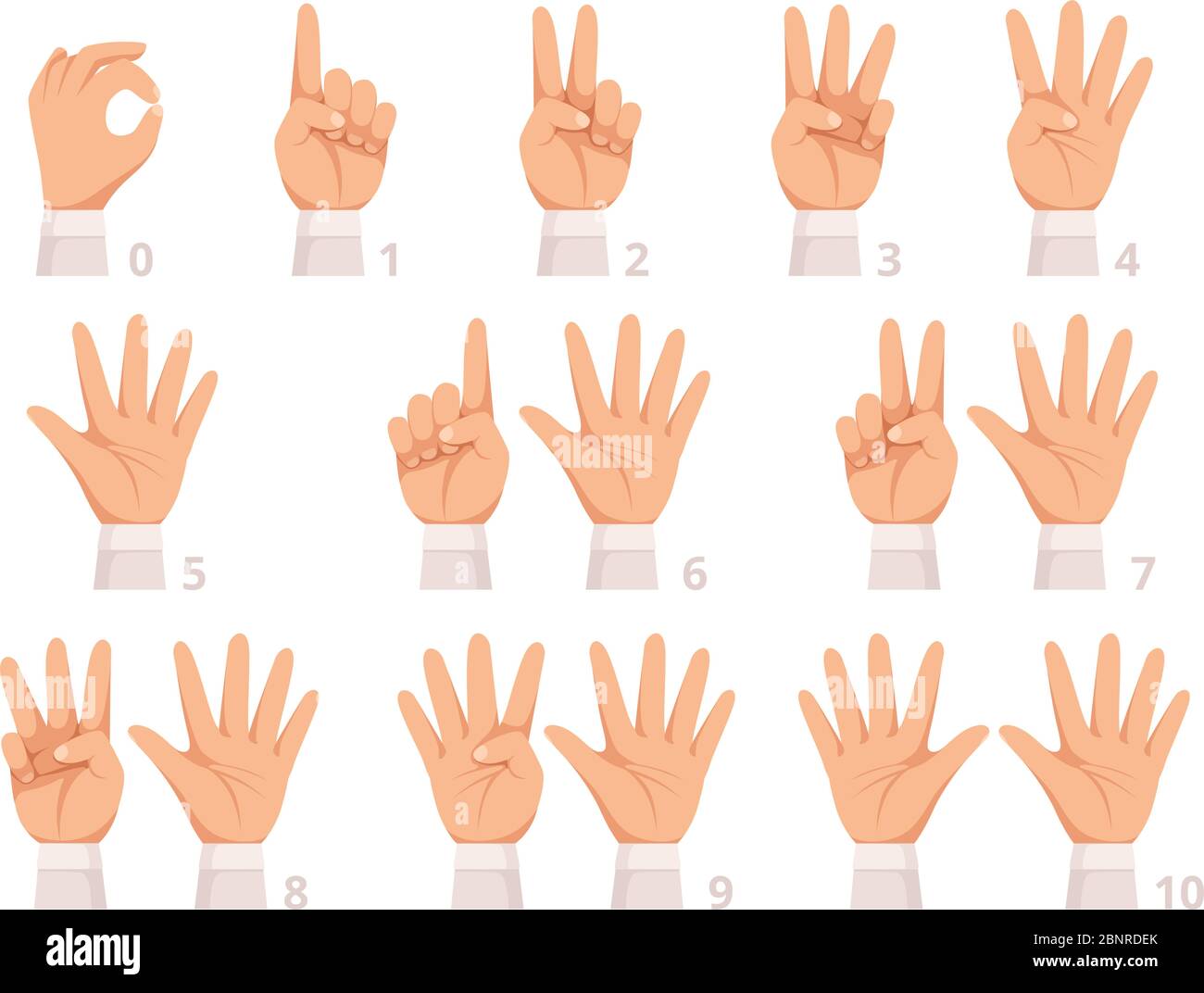 Números de gestos de manos. La palma y los dedos humanos muestran  diferentes números de dibujos animados vectoriales Imagen Vector de stock -  Alamy