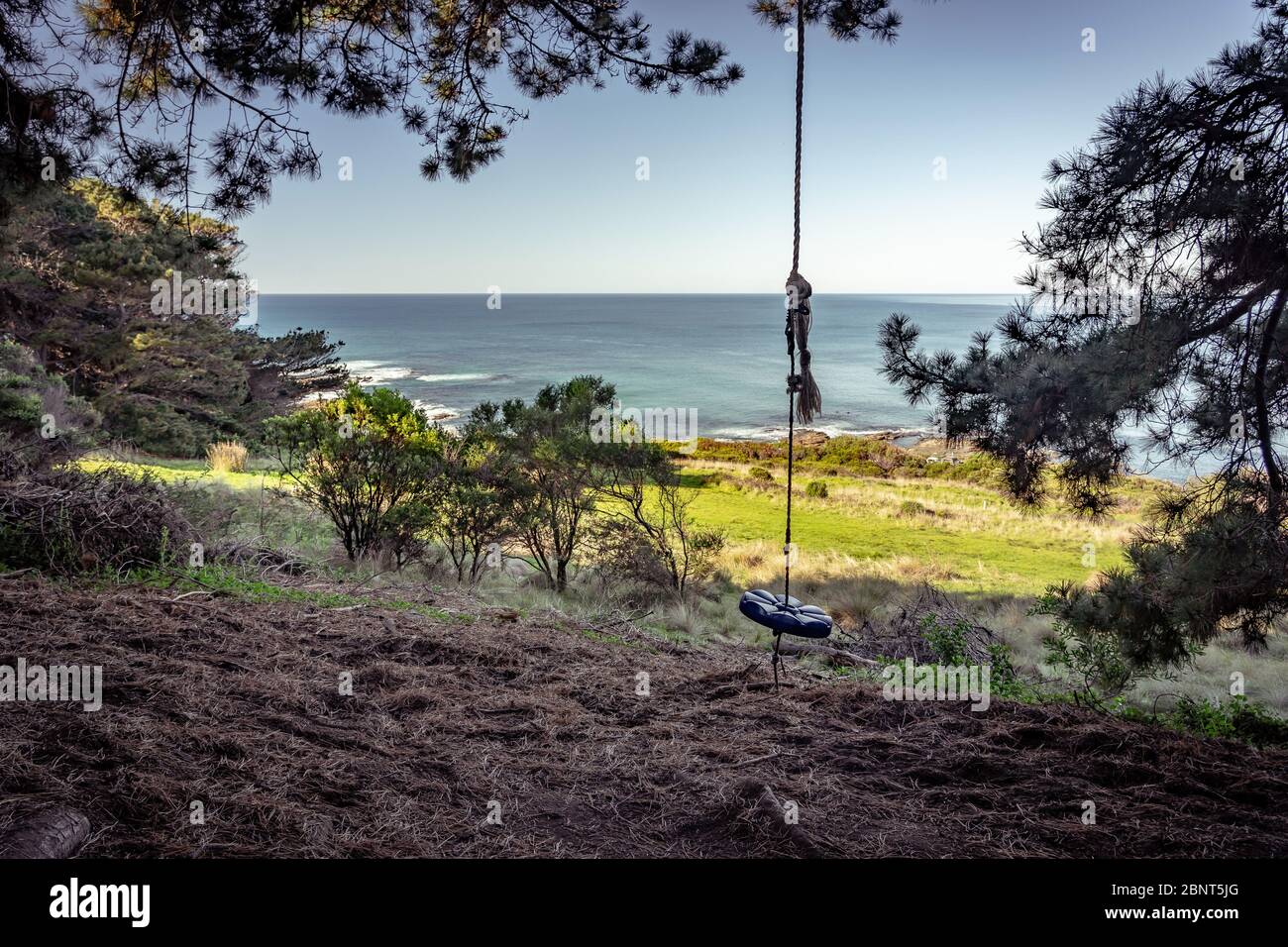 Un solo jinete columpio colgando de una rama de árbol con una vista al mar en frente Foto de stock