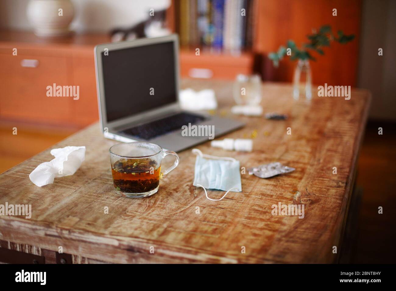 Desde arriba varios medicamentos y máscara médica colocado en la mesa cerca de las ramas de la planta en jarrón y portátil con pantalla en blanco Foto de stock