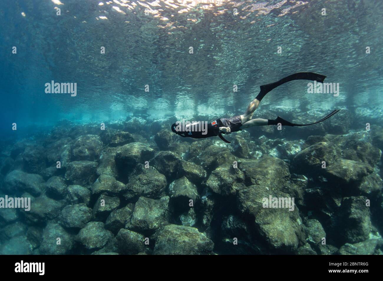 Buceo submarino bajo el agua de Tenerife, Islas Canarias, España. Foto de stock