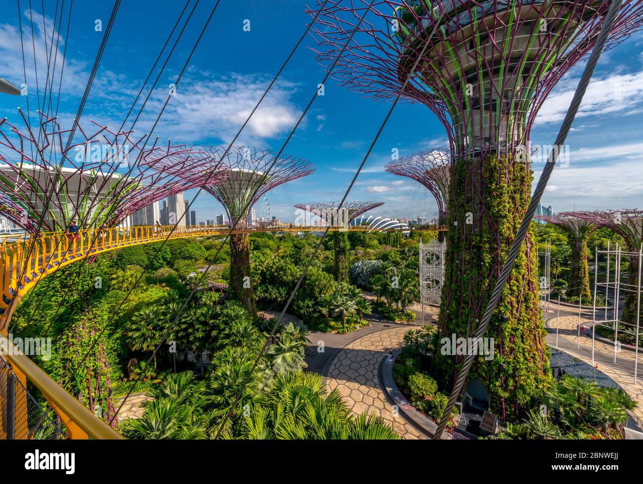 Jardines de Singapur por la bahía Foto de stock