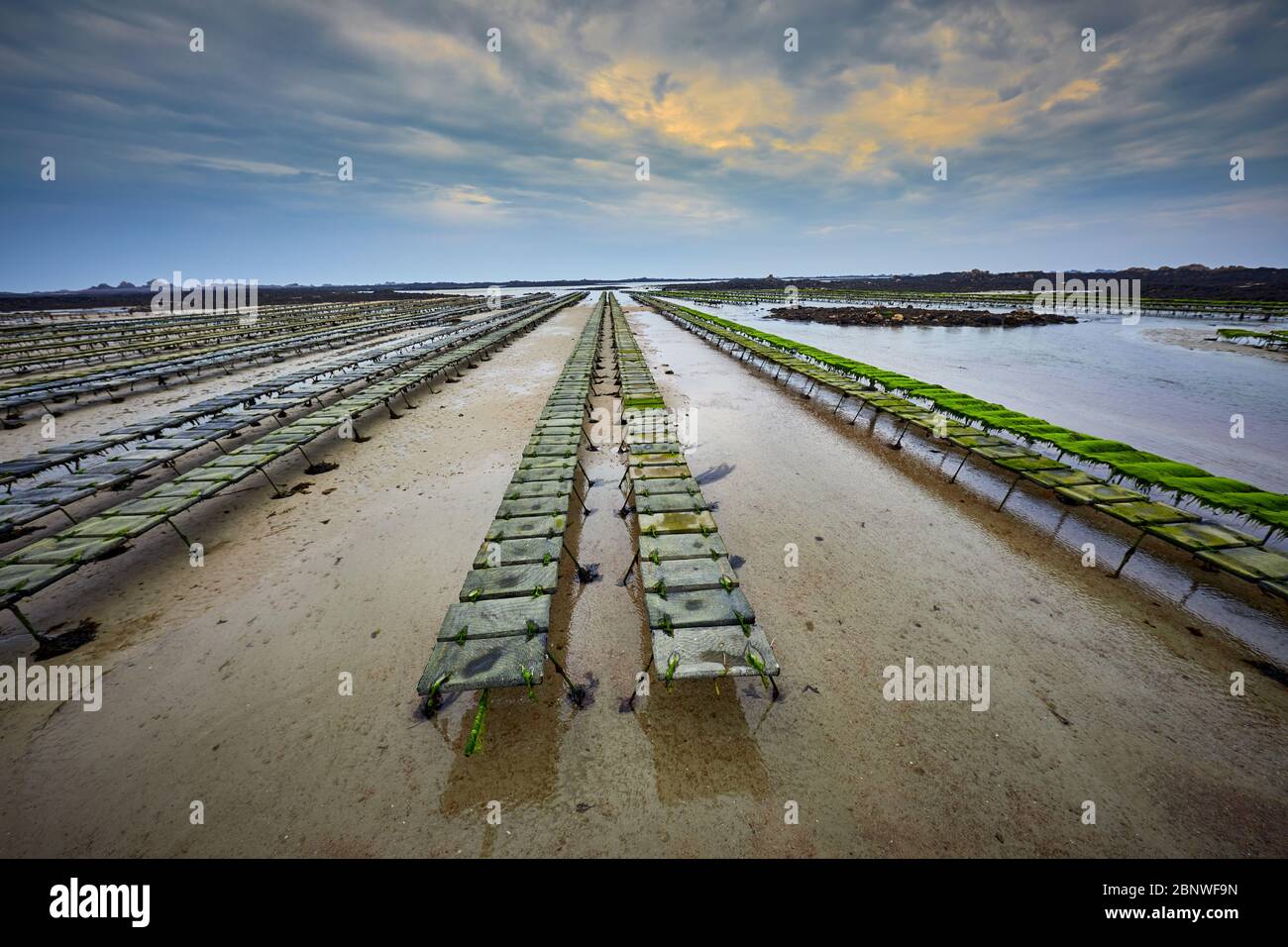 Ostra del paisaje fotografías e imágenes de alta resolución Alamy