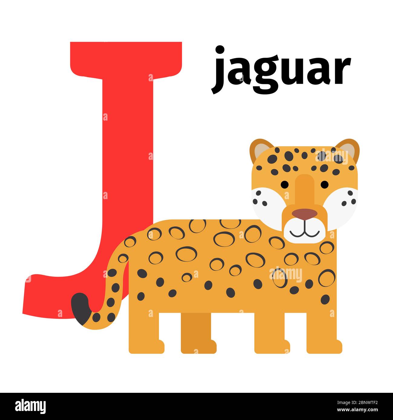 Inglés animales zoológico alfabeto con la letra J. Jaguar vector ilustración Imagen Vector de