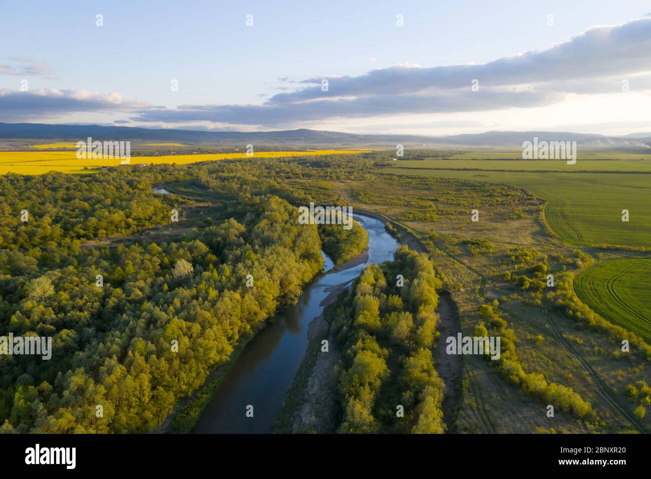 Vuelo a través del majestuoso río Dnister, el exuberante bosque verde y los florecientes campos de colza amarilla al atardecer. Ucrania, Europa. Fotografía de paisajes Foto de stock