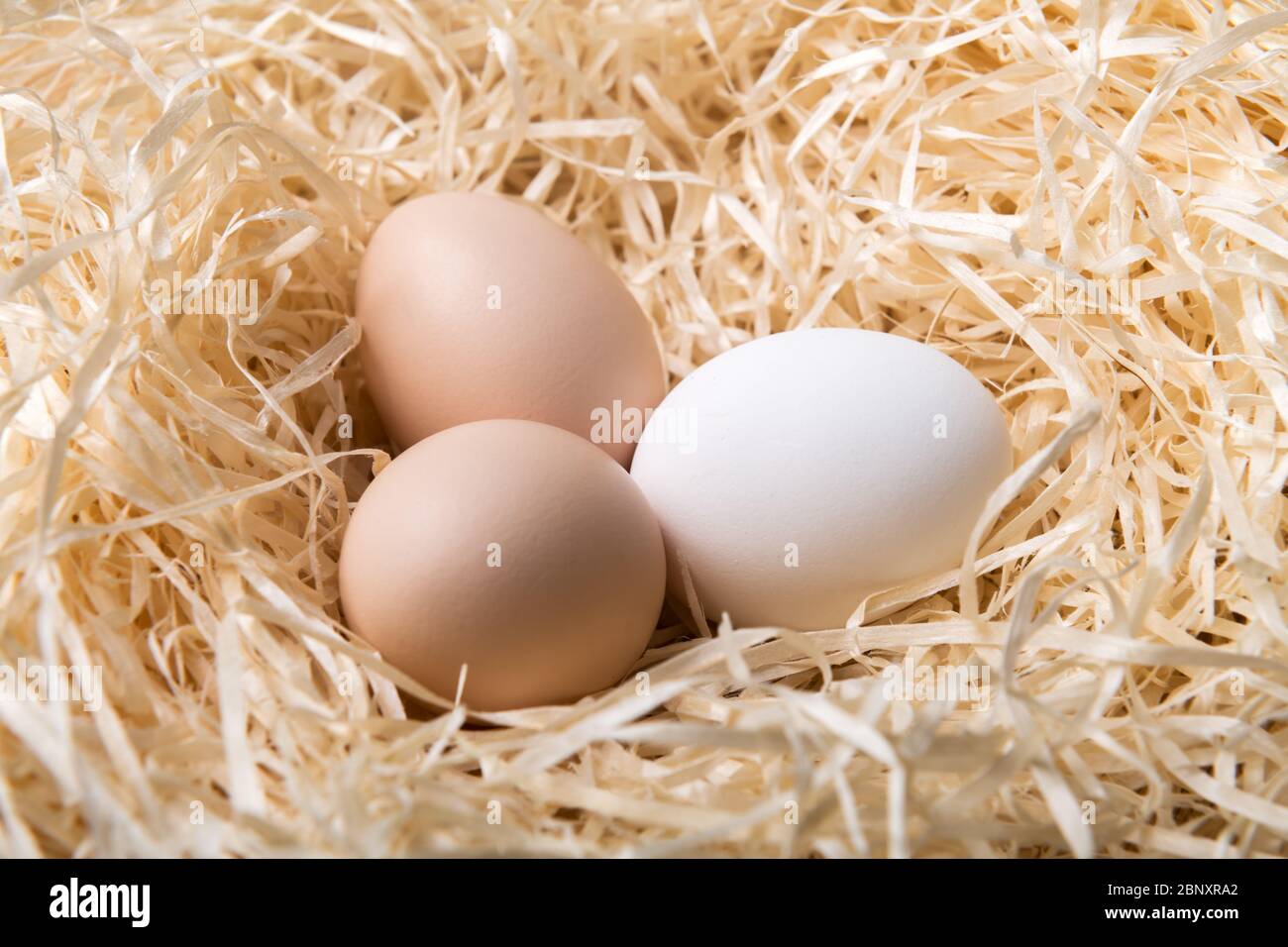 Huevos de pollo orgánicos en nido de primer plano. Fotografía de alimentos Foto de stock