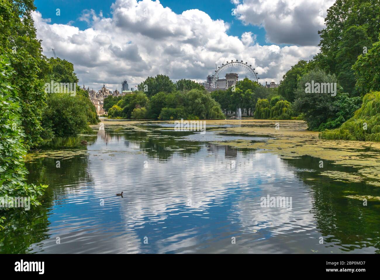Londres-St James Park, ein üppiger grüner Stadtpark en Westminster mit viel von exotischen Blumen Foto de stock