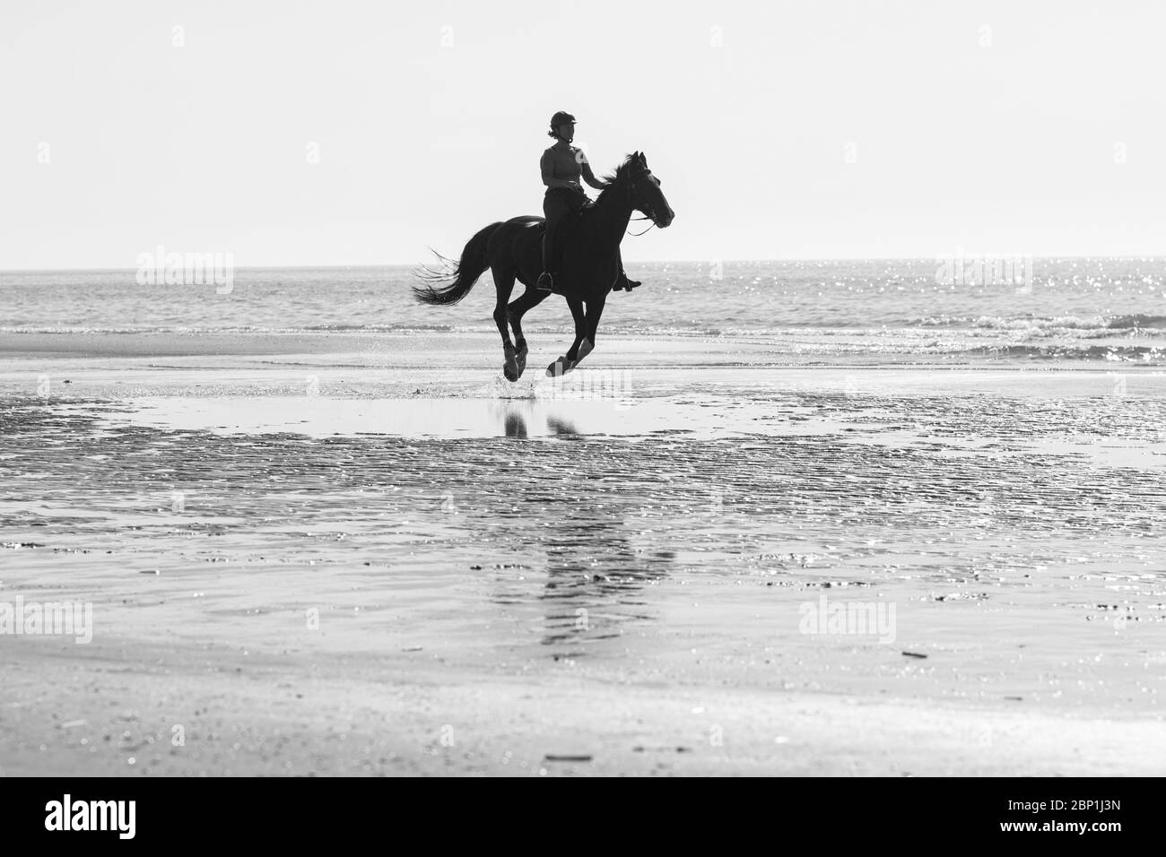 Paseos a caballo en la playa California USA Foto de stock
