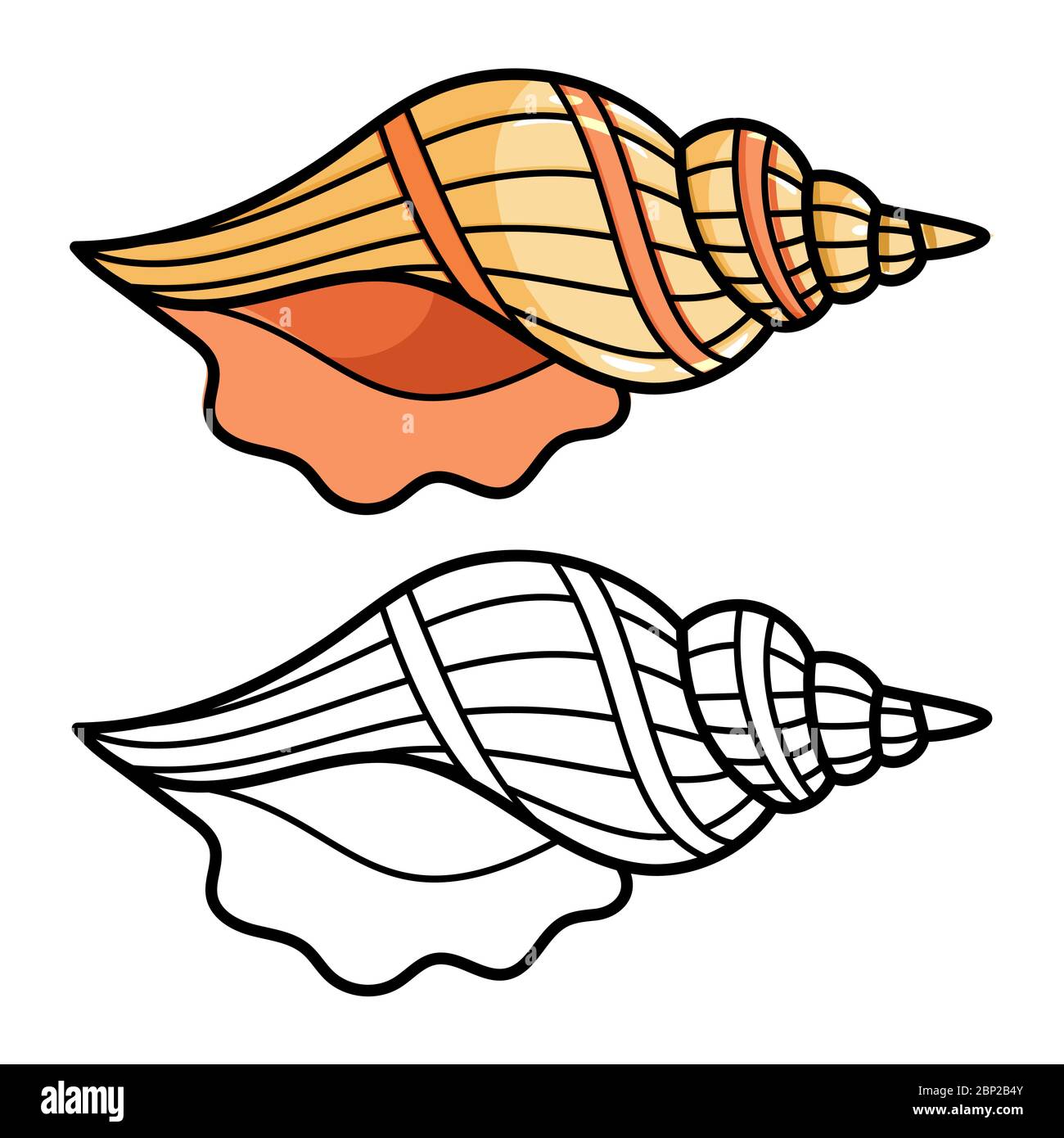 Concha de mar de dibujos animados aislados sobre fondo blanco. Color y  contorno de la concha para los niños página de coloración, ilustración  vectorial Imagen Vector de stock - Alamy