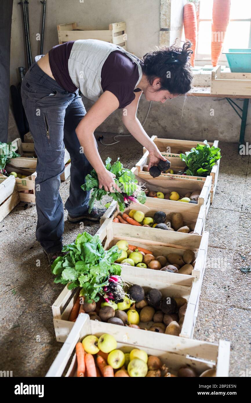 Venta de alimentos orgánicos en la granja, Dordoña, Francia. Foto de stock