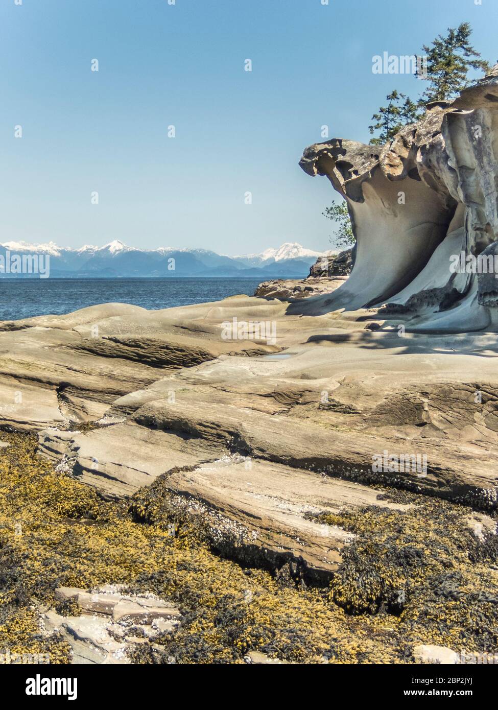 En la marea baja se observan rocas en capas, algas marinas y arcos de arenisca erosionados en un islote, con vistas al estrecho de Georgia y a las montañas de la costa más allá. Foto de stock