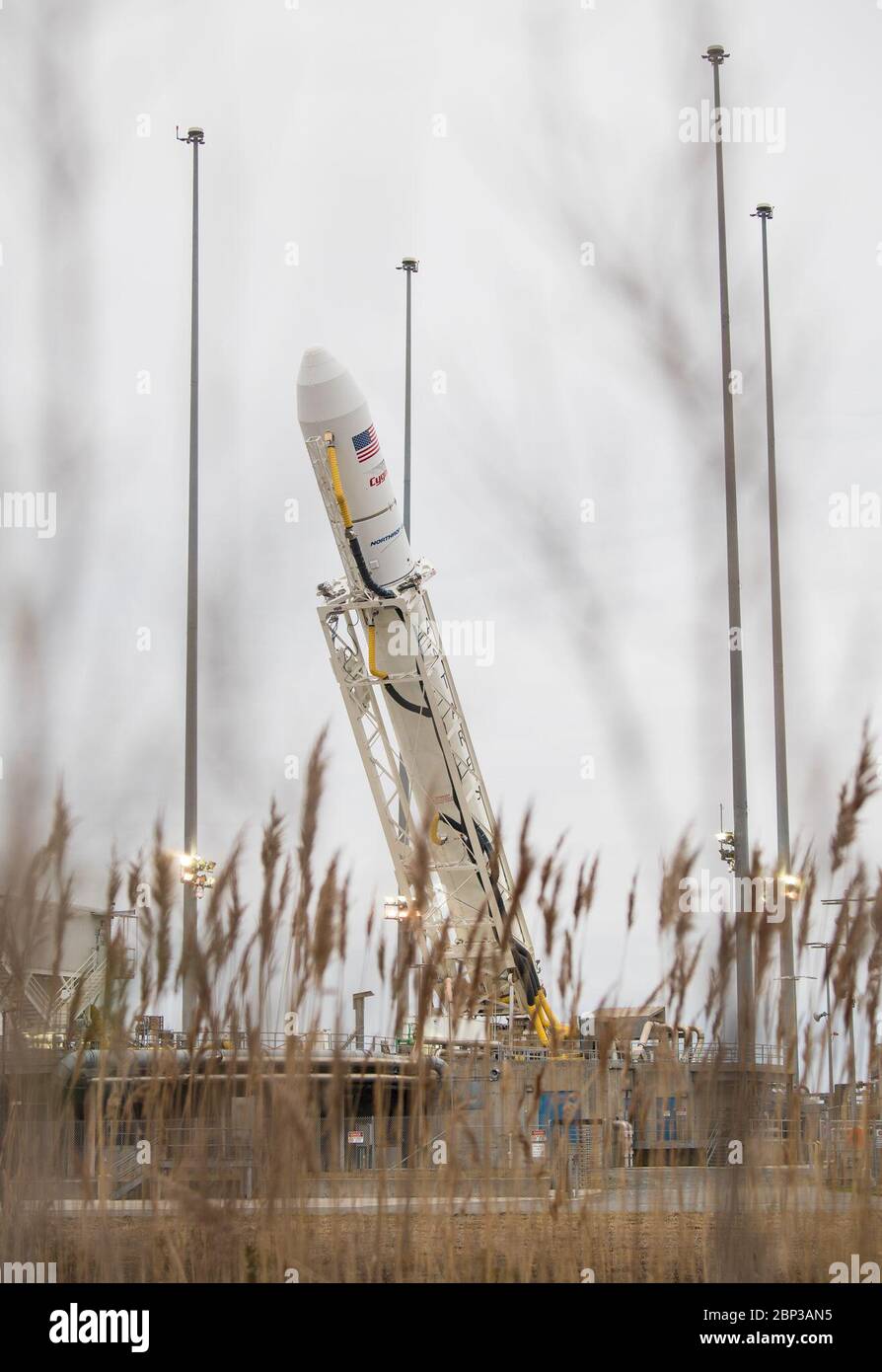 Northrop Grumman Antares CRS-13 bajado a posición horizontal el cohete Northrop Grumman Antares se baja a una posición horizontal para refrescar y recargar la carga final en la nave espacial Cygnus, miércoles, 12 de febrero de 2020, en el lanzamiento Pad-0A de la instalación de vuelo Wallops de la NASA en Virginia. La 13ª misión de reabastecimiento de carga contratada de Northrop Grumman con la NASA a la Estación Espacial Internacional entregará más de 7,500 libras de ciencia e investigación, suministros para la tripulación y equipo para vehículos al laboratorio orbital y a su tripulación. Foto de stock