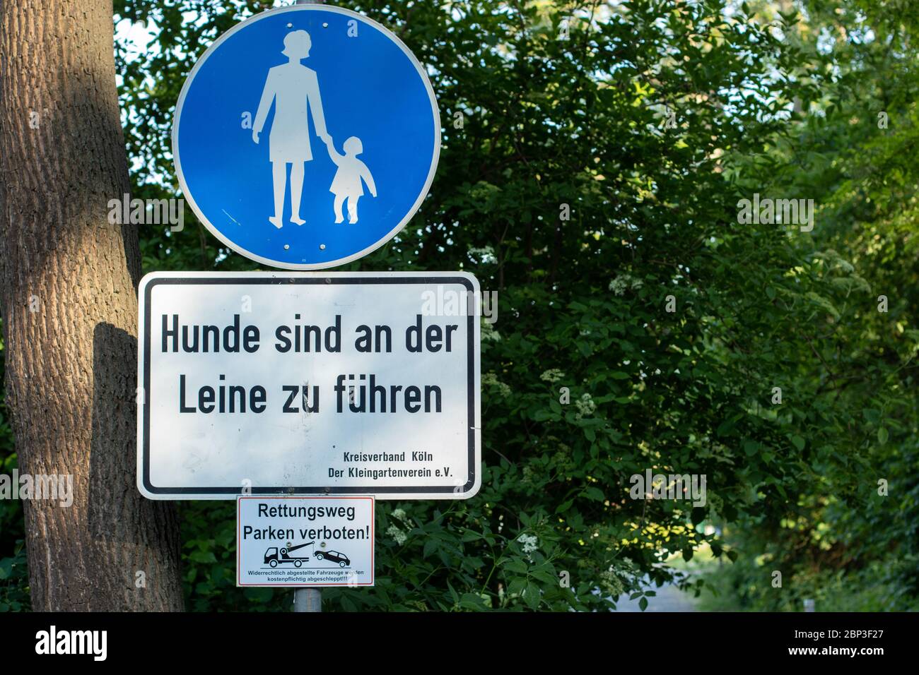 Alemania signo sólo se permite caminar y los perros deben estar en un plomo, al aire libre Foto de stock